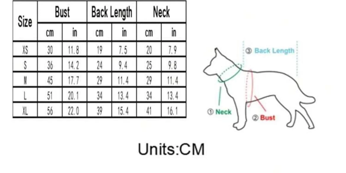 Small Dog Big Heart Print Tee