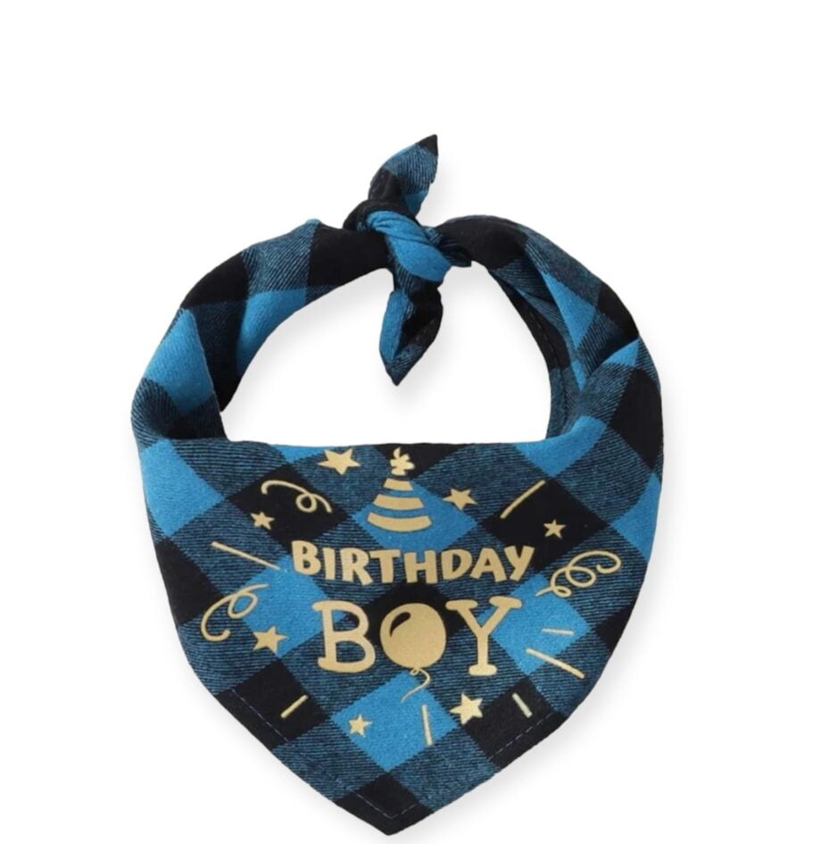 Birthday boy bandana