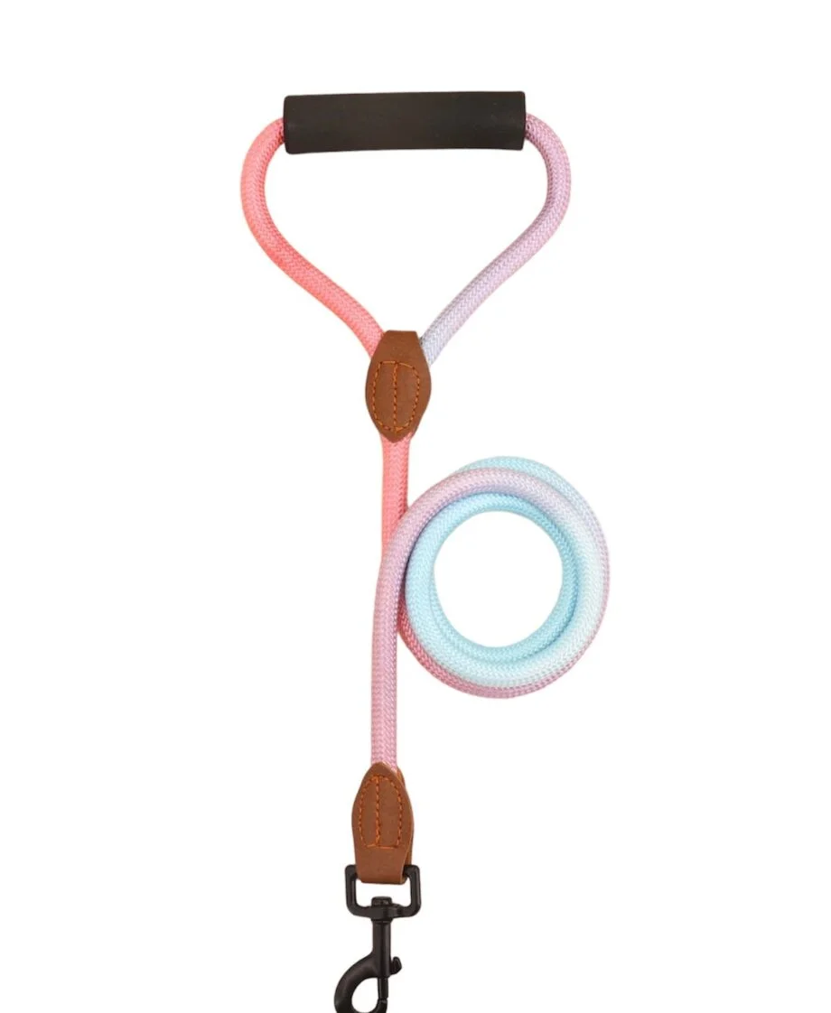 Ombr√© Leash  - pastel