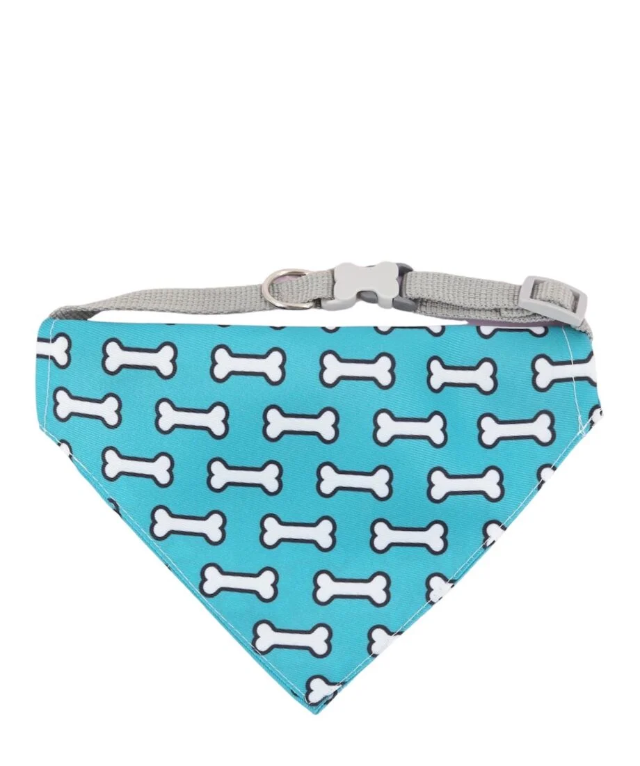 Turquoise & white bone print bandana with collar