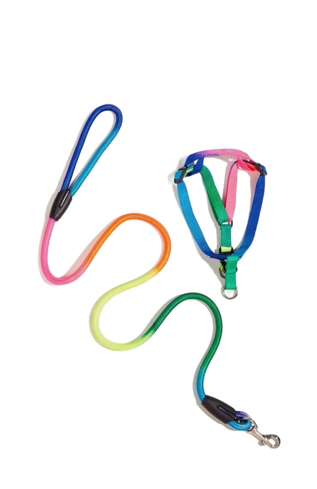 Colour block harness & leash set