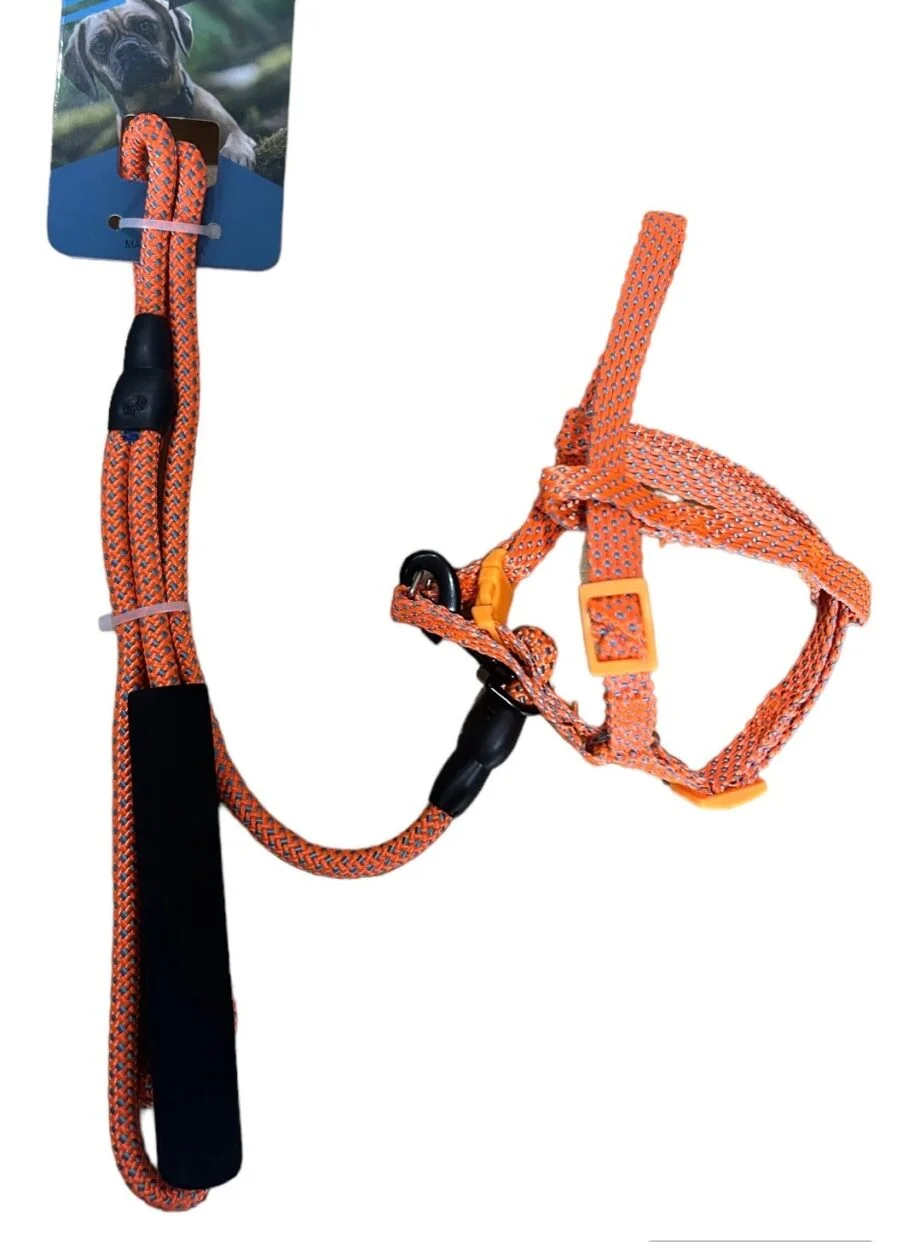 Orange harness and leash set