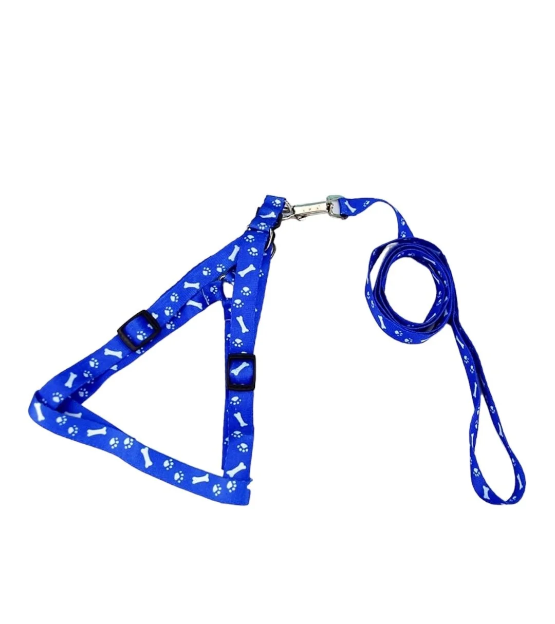 Small Pet Harness & Leash Set