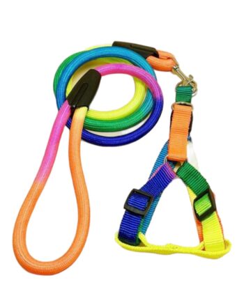 Colour Block harness and leash set