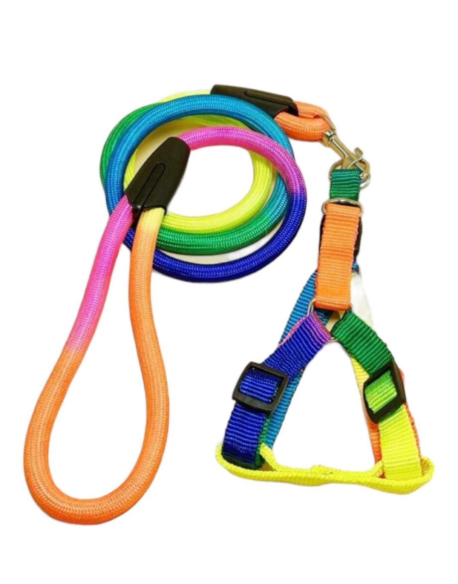 Colour Block harness and leash set