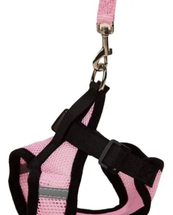 Breathable harness and leash set
