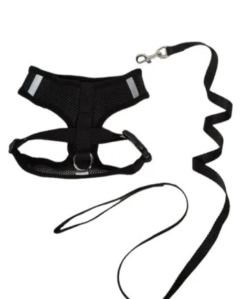 Breathable Harness and leash set