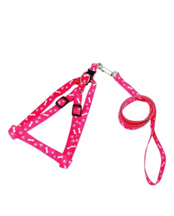 Small pet harness and leash set