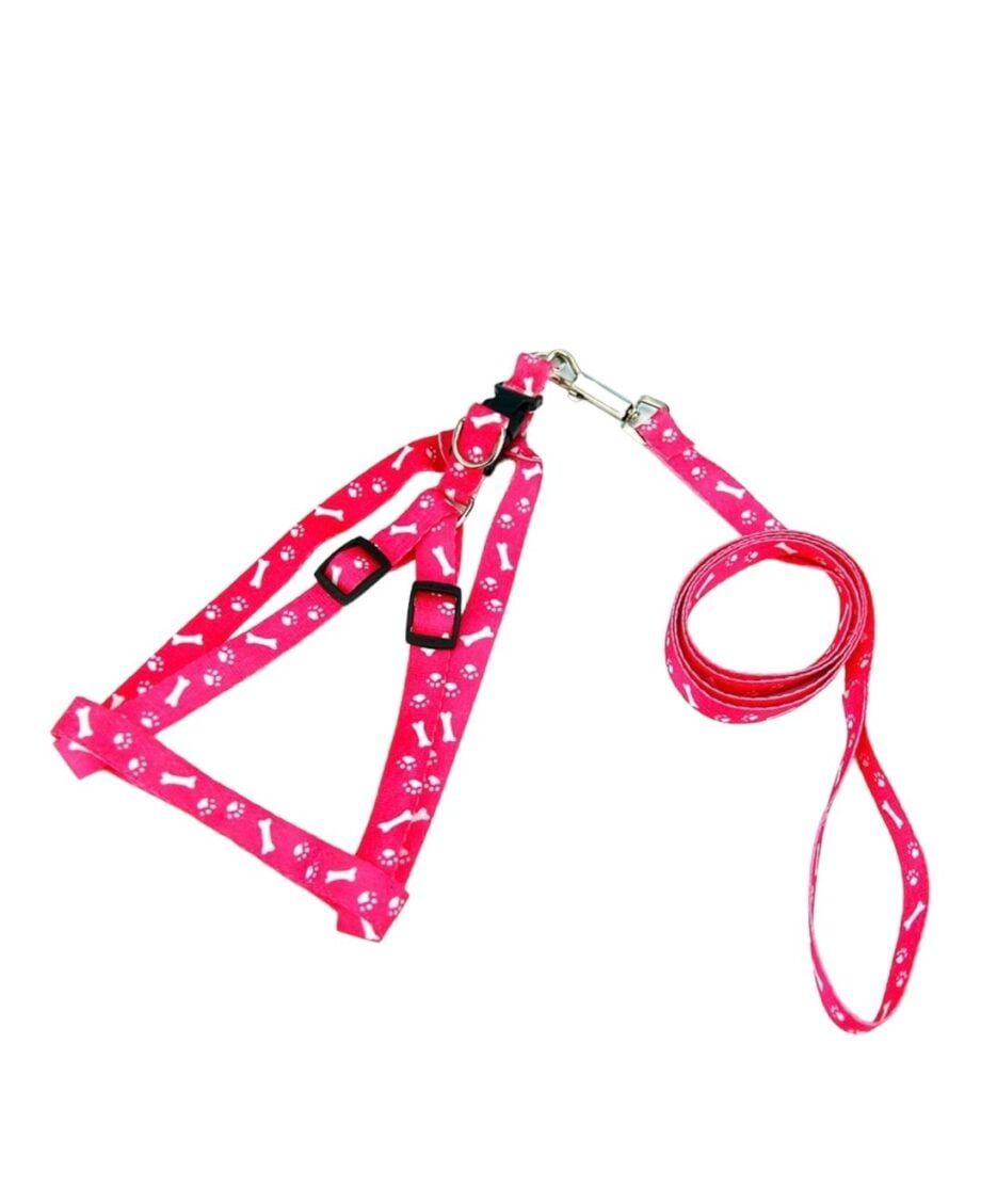 Small pet harness and leash set