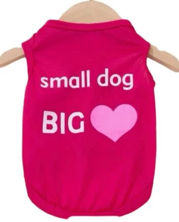 Small dog big ü©∑ print tee