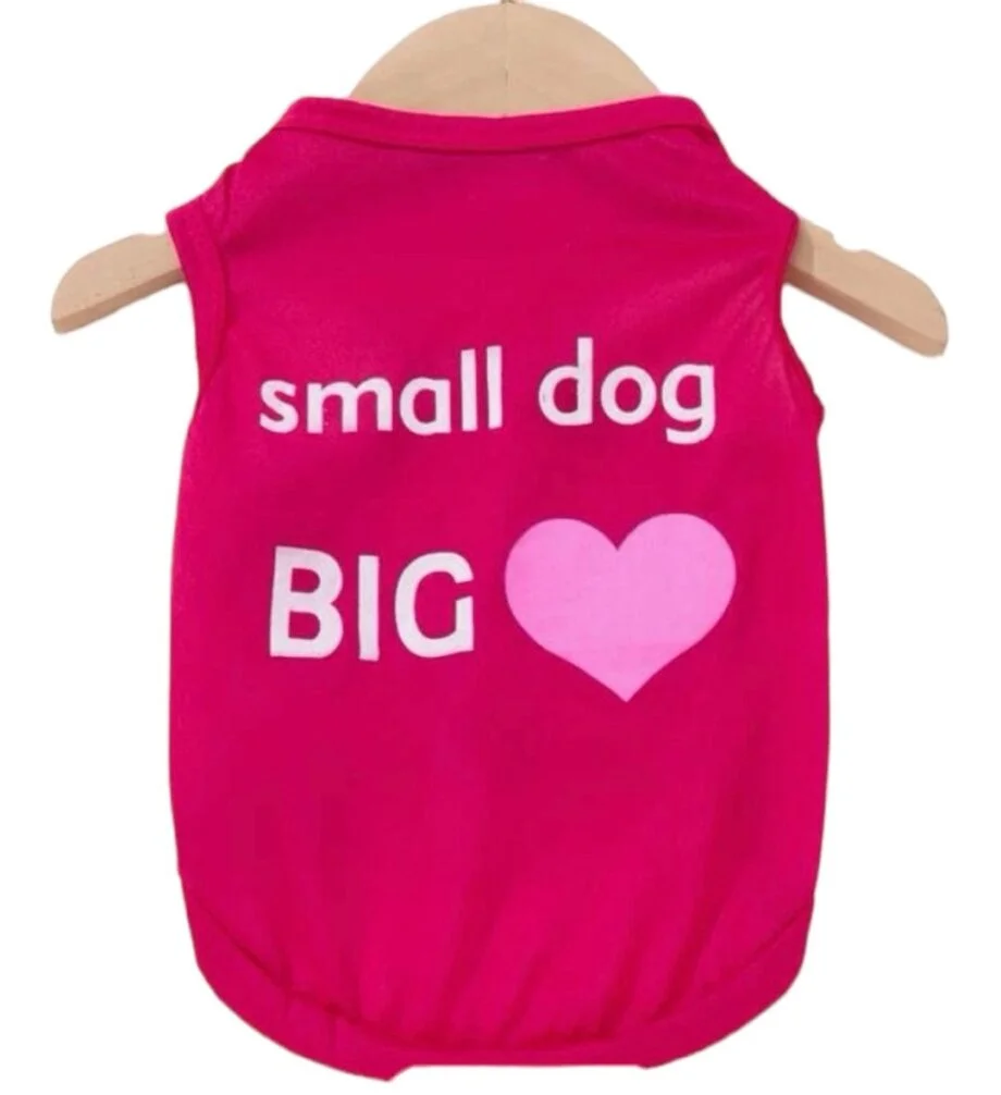 Small dog big ü©∑ print tee