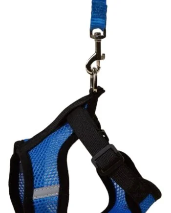 Breathable Harness & leash set
