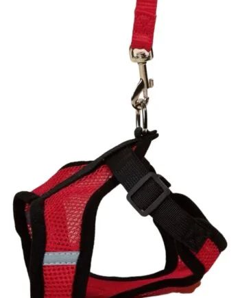 Breathable Harness & Leash set