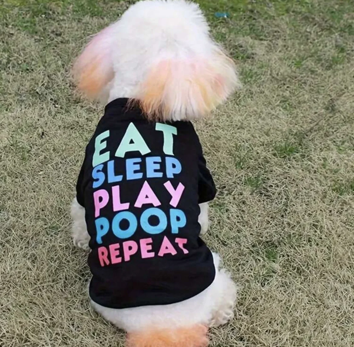 ESPPR Pet Tee